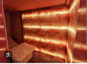 Spa Apartman Vracar